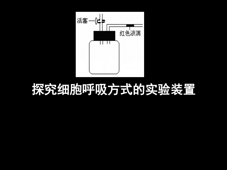 细胞呼吸方式的判断_第1页