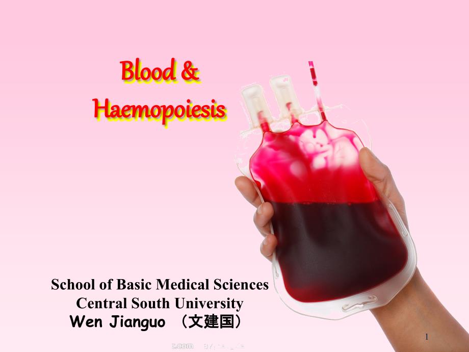 血液和血细胞发生Bloodandheamopoiesis_第1页