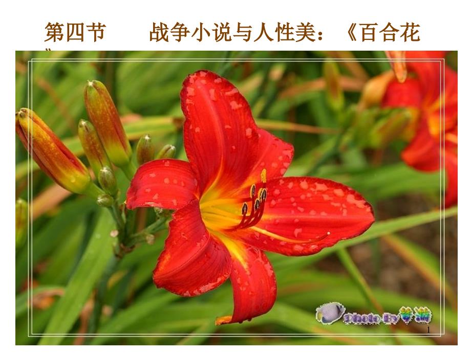 百合花 茹志鹃200842125736396_第1页