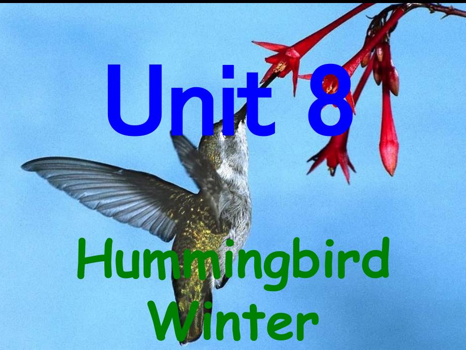 综英4-8-Hummingbird Winter_第1页