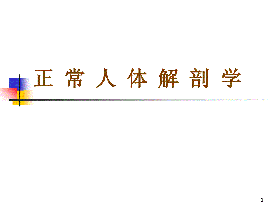 正 常 人 体 解 剖 学绪论_第1页