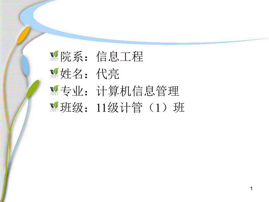 计管代亮职业规划_第1页