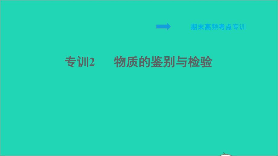 2022九年级化学全册期末专训2物质的鉴别与检验习题课件鲁教版五四制20220610257_第1页