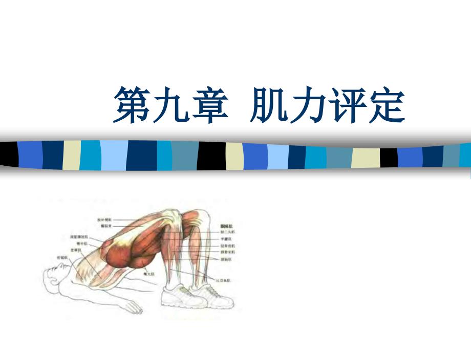 第9章-肌力评定_第1页