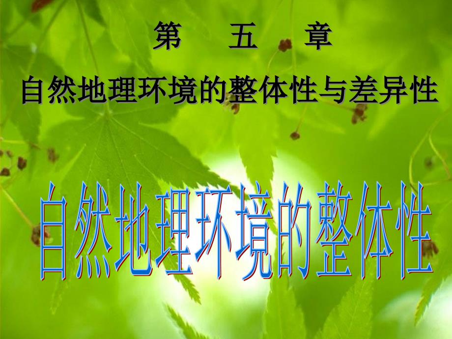 自然环境的整体性_第1页