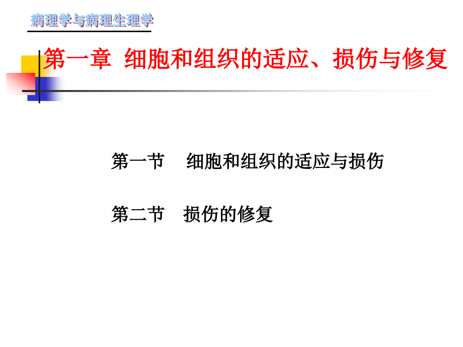 第一章-细胞和组织的适应、损伤与修复_第1页