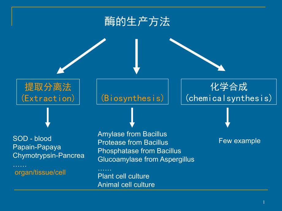 药用酶的生产技术_第1页