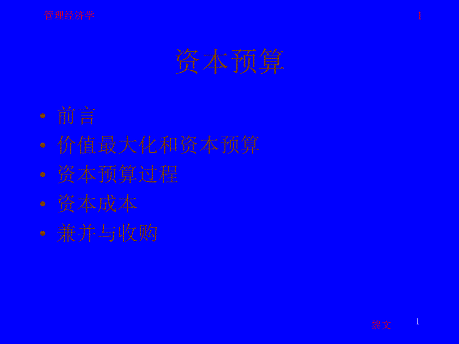 管理经济学资本预算ppt42_第1页