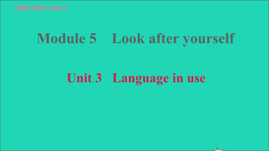 安徽专版2022九年级英语下册Module5LookafteryourselfUnit3Languageinuse课件新版外研版20220517349_第1页