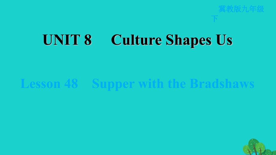 2022九年级英语下册Unit8CultureShapesUsLesson48SupperwiththeBradshaws习题课件新版冀教版20220521328_第1页