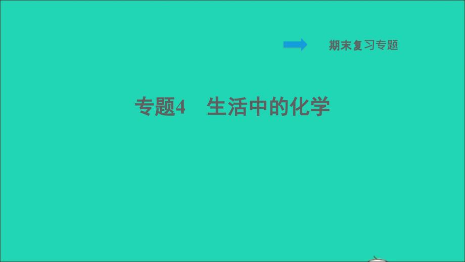 福建专版2022九年级化学下册期末复习专题4生活中的化学课件沪教版202206102111_第1页