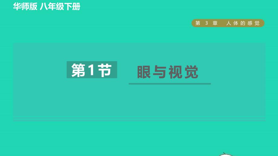 2022八年级科学下册第3章人体的感觉1眼与视觉习题课件新版华东师大版202206153125_第1页