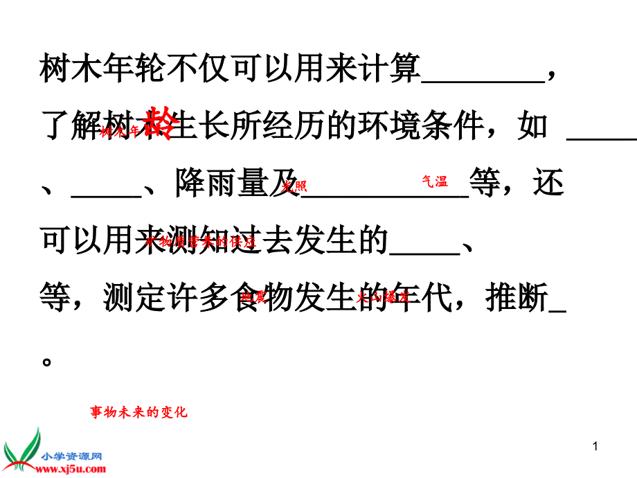 18.电脑与网络_第1页