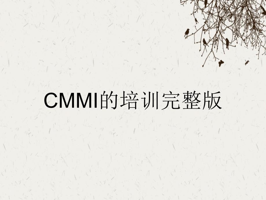 CMMI的培训完整版_第1页