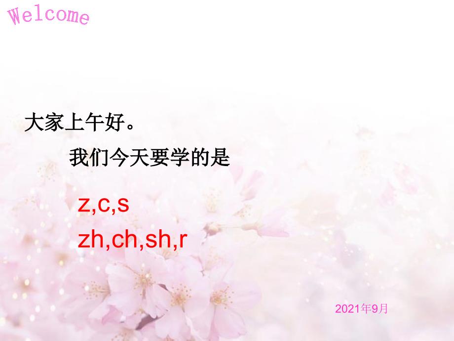 对外汉语教学法教案zhchshr等_第1页