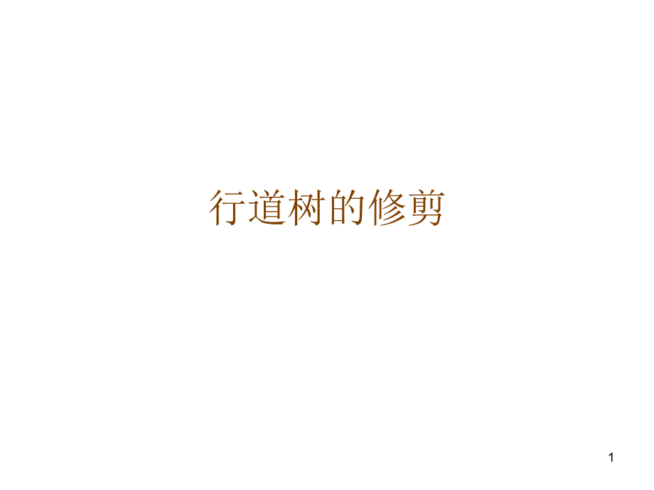 行道树的修剪_第1页