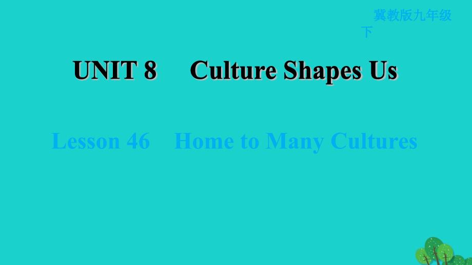 2022九年级英语下册Unit8CultureShapesUsLesson46HometoManyCultures习题课件新版冀教版20220521326_第1页