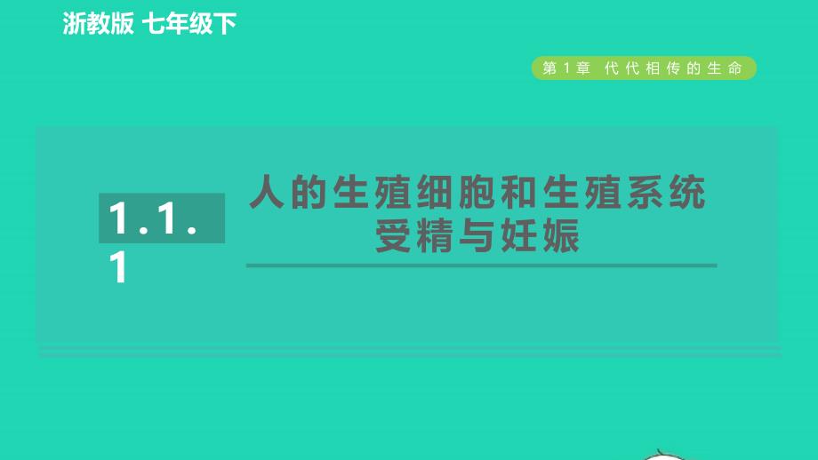 2022九年级科学下册第1章代代相传的生命第1节新生命的诞生第1课时人的生殖细胞和生殖系统受精与妊娠习题课件新版浙教版202206143111_第1页