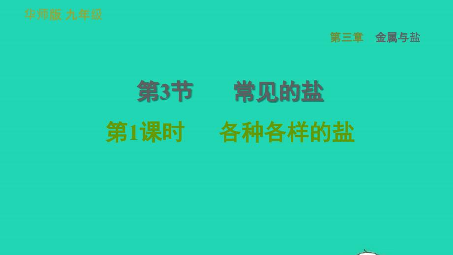 2022九年级科学上册第3章金属与盐3常见的盐第1课时各种各样的盐习题课件新版华东师大版20220615367_第1页