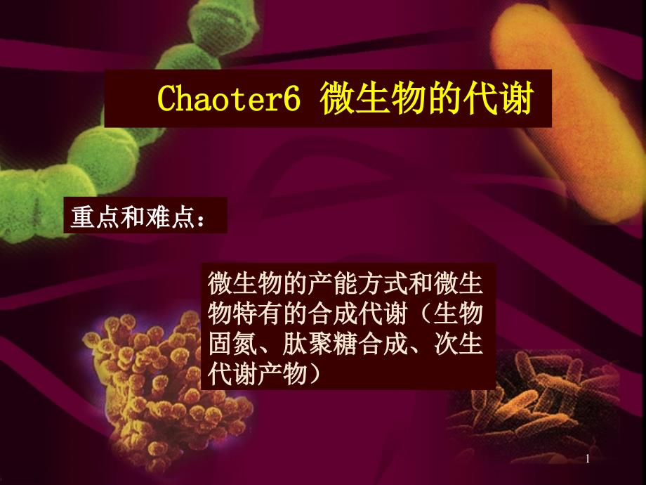 Chapter6微生物的代谢_第1页