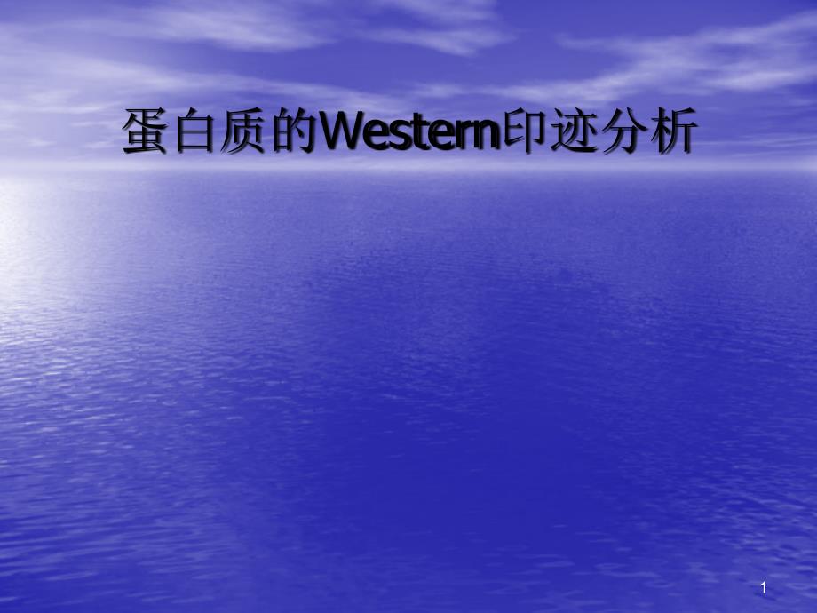 蛋白质的Wesrern印迹分析_第1页