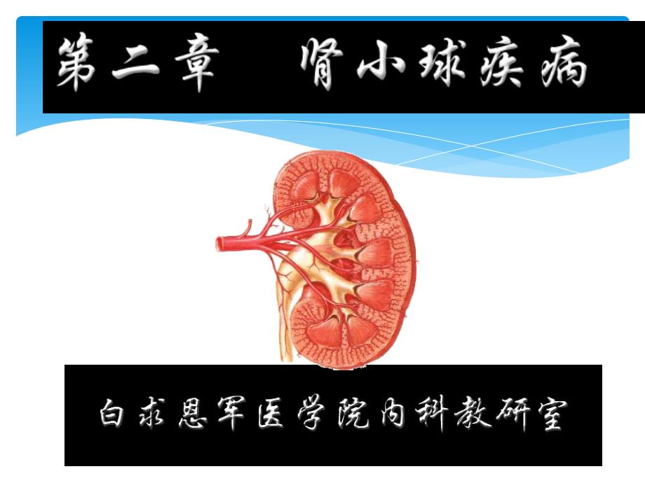 肾小球疾病总论急性肾炎_第1页