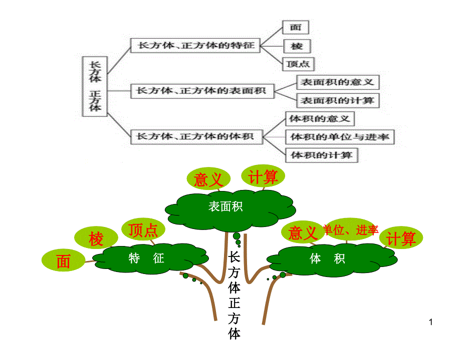 小学六年级长方体和正方体知识树_第1页