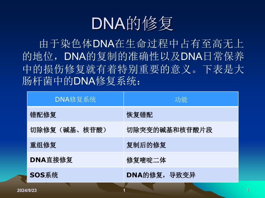 2012DNA的修复_第1页