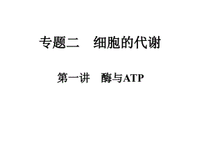 酶与ATP二轮复习