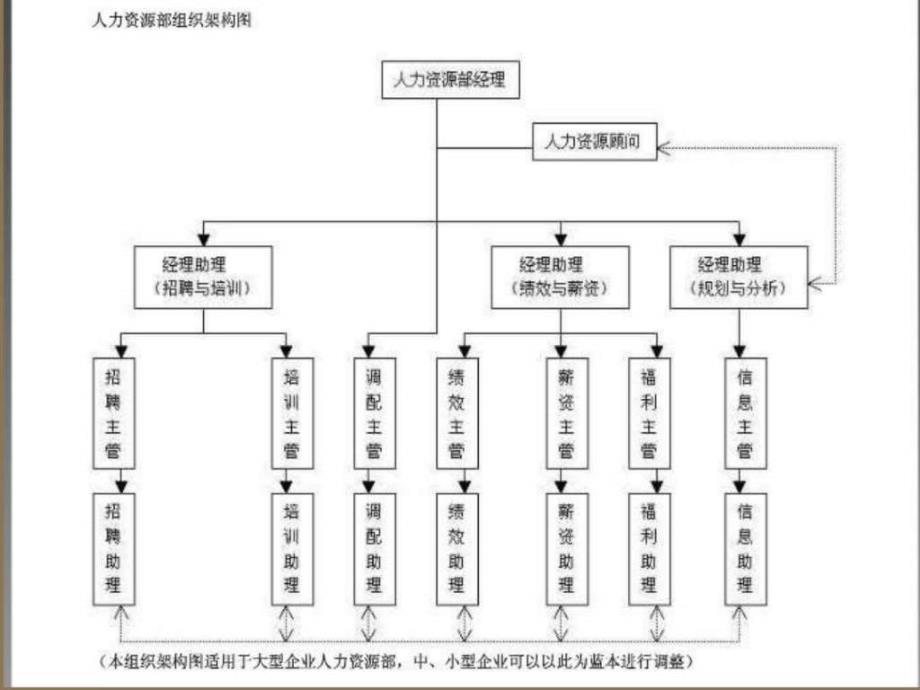 人力资源部组织架构图_第1页