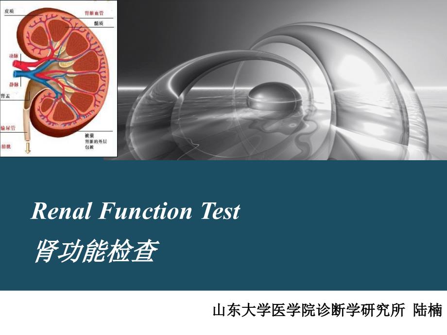 肾功能检查解析_第1页