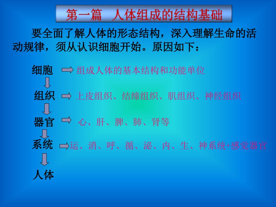 运动解剖学第一章 细胞和细胞间质_第1页