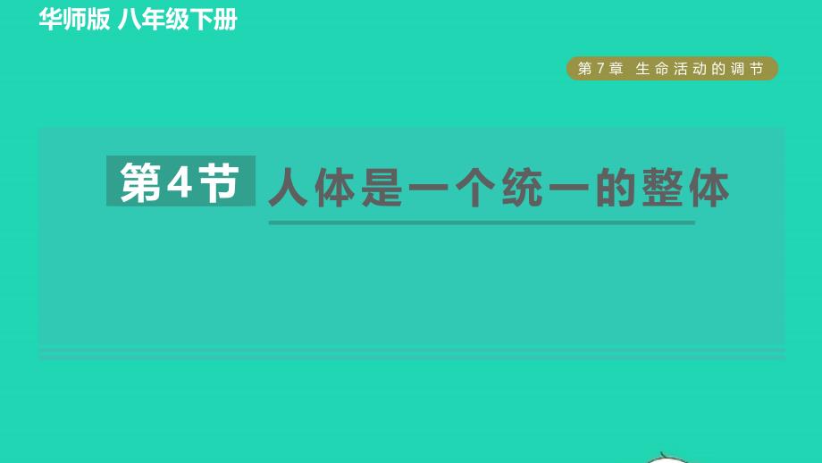 2022八年级科学下册第7章生命活动的调节4人体是一个统一的整体习题课件新版华东师大版_第1页