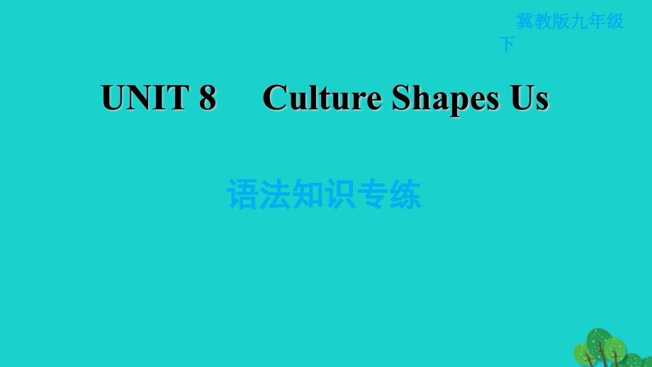 2022九年级英语下册Unit8CultureShapesUs语法知识专练习题课件新版冀教版20220521332_第1页