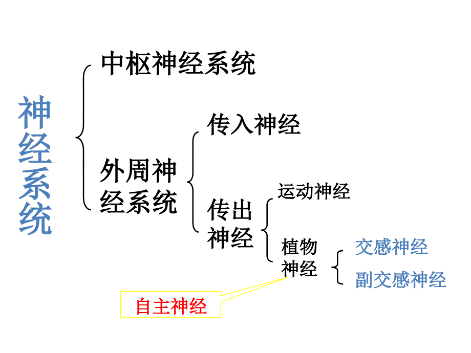 镇静催眠药_第1页