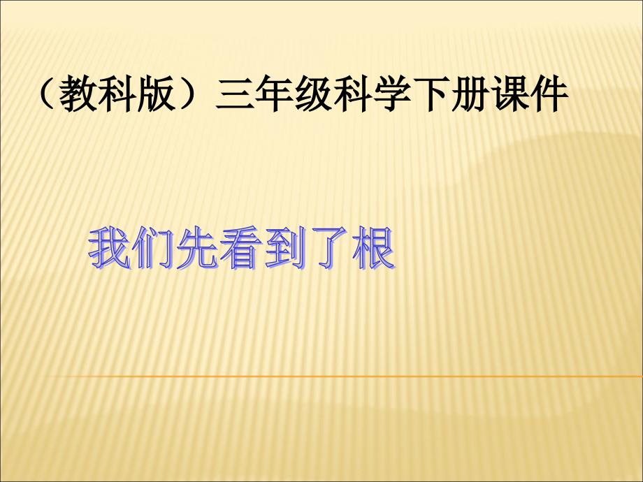 (教科版)三年级科学下册课件-我们先看到了根_第1页