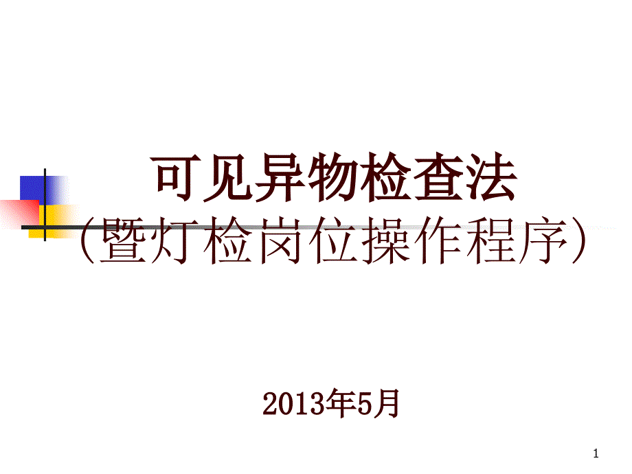 2013.5可见异物检查法培训_第1页