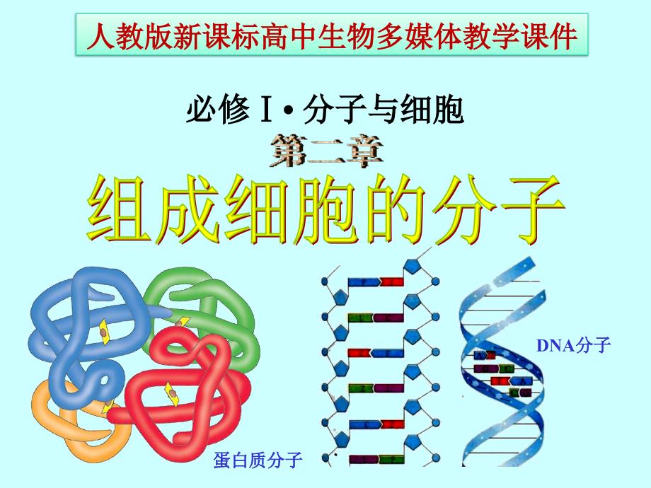 高中生物必修1第二章、组成细胞的分子_第1页