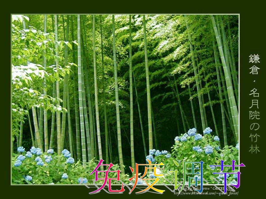 高三生物复习：免疫调节_第1页