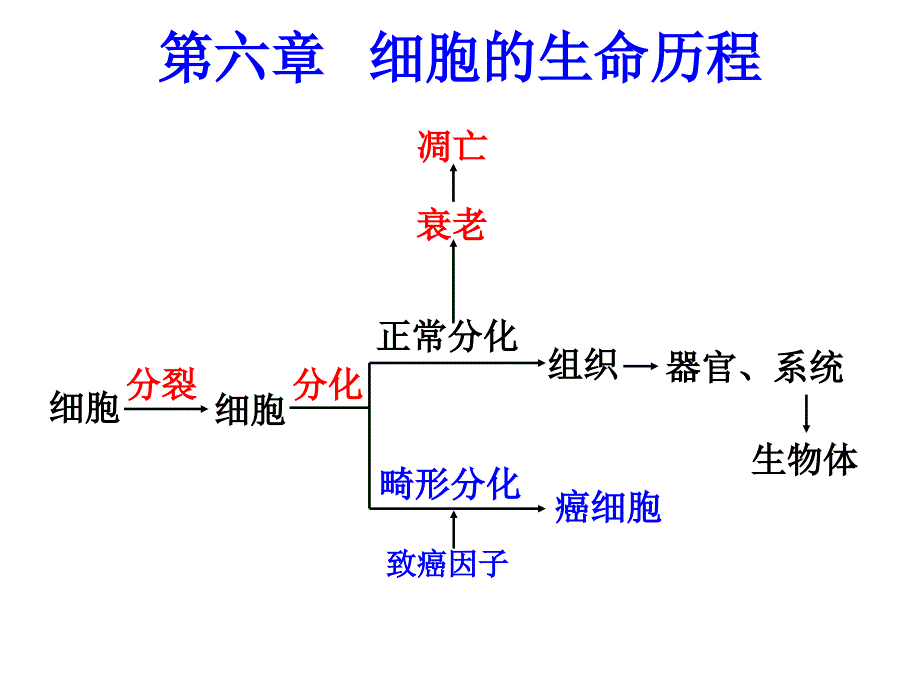 必修16章复习_第1页