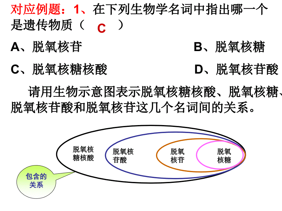 高三第一轮复习DNA的复制_第1页