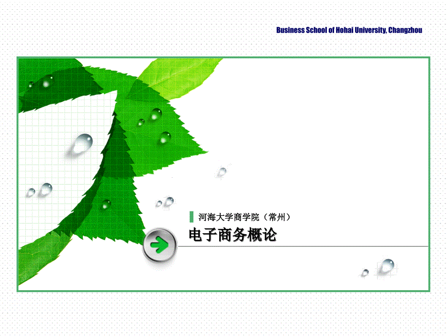 电子供应链、协同商务、内部电子商务和门户网站_第1页