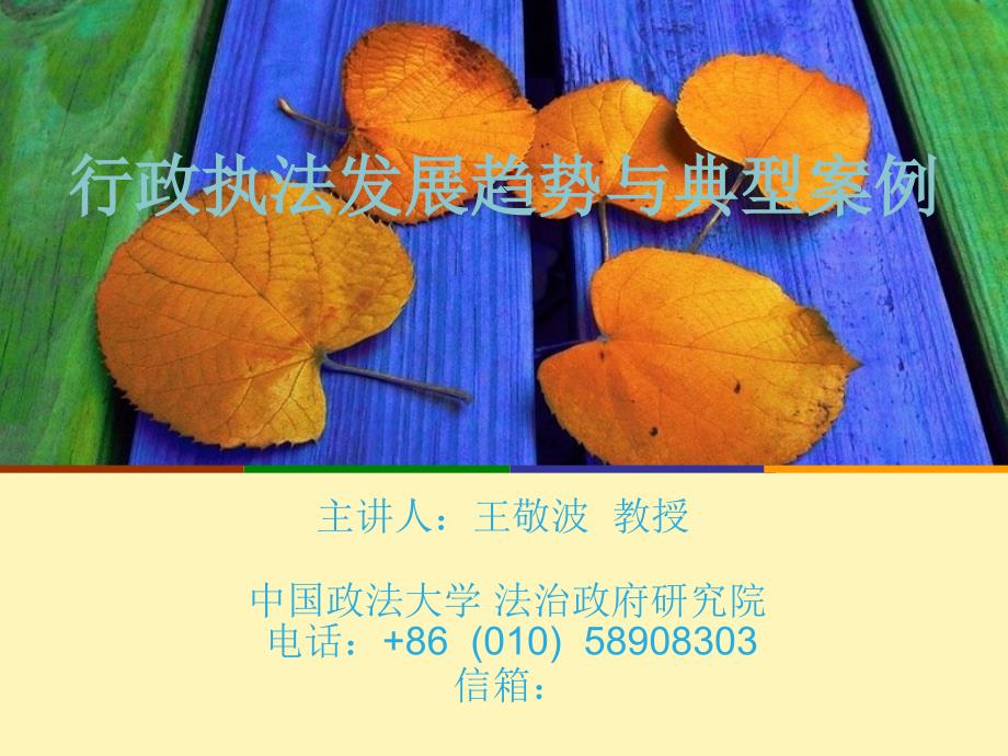 行政执法_第1页