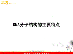 DNA分子结构的主要特点终课件