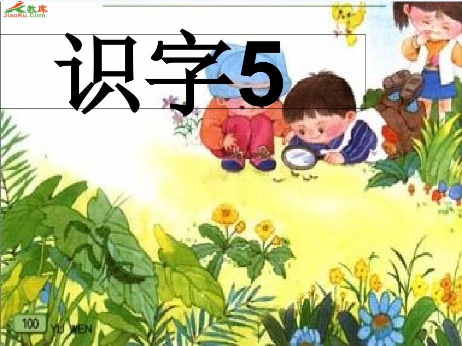 识字5观察采集昆虫_第1页