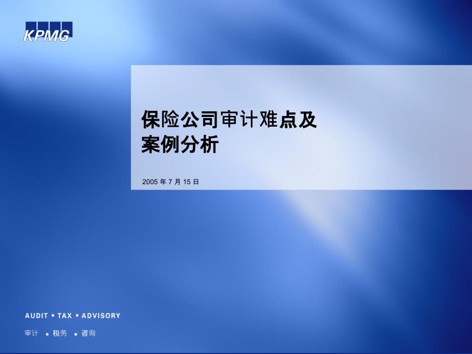 史蒂芬咨询保险公司审计难点及案例分析_第1页