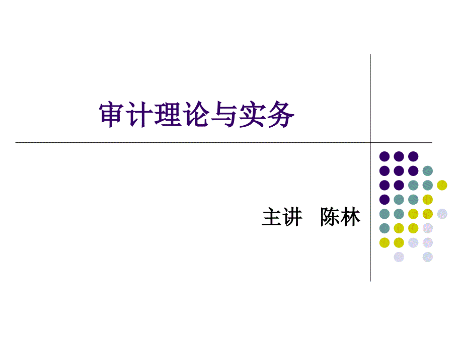 审计理论与实务培训_第1页