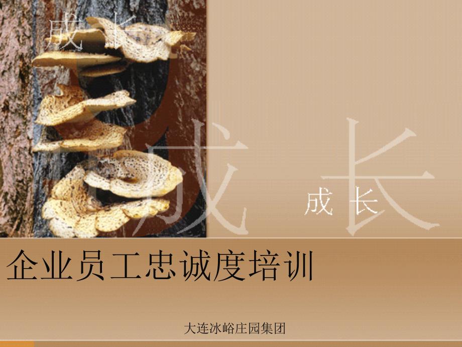 企业员工忠诚度培训精品资料课件_第1页