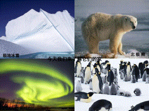 七年级地理下册-7.5-北极地区和南极地区课件-湘教版公开课教案课件