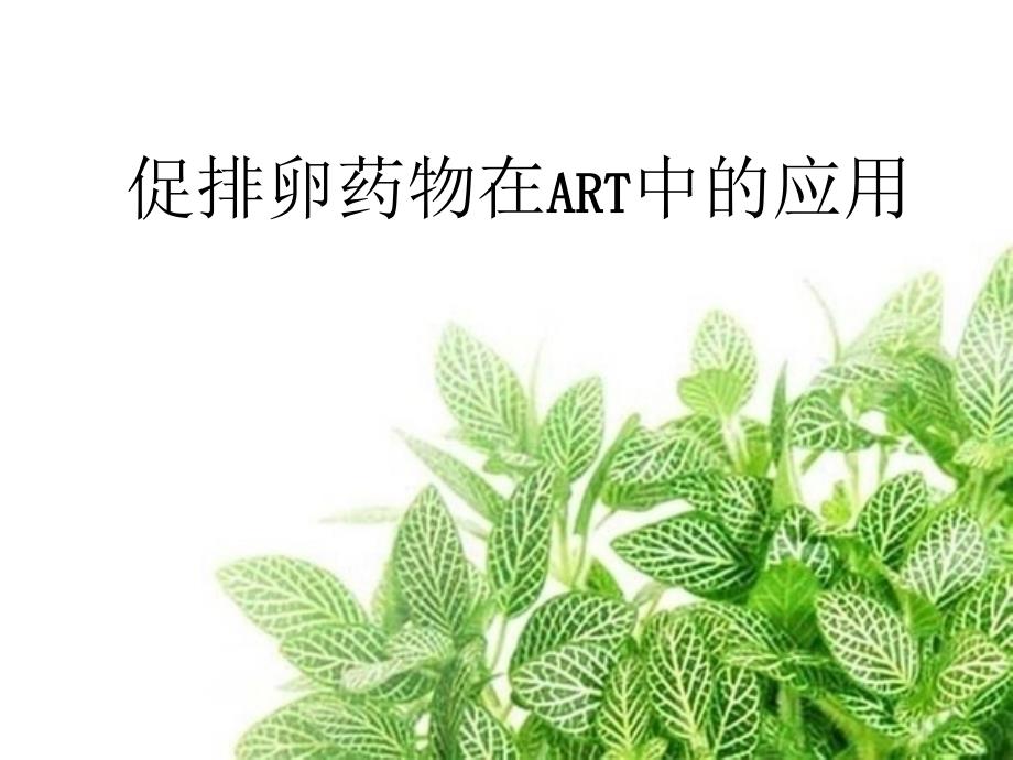 促排卵药物教学教材课件_第1页